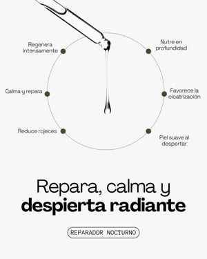 Serum Noche Centella