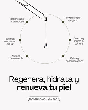 Serum Stem Cell Noche