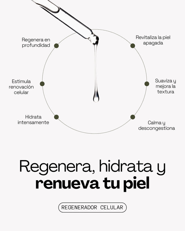 Serum Stem Cell Noche